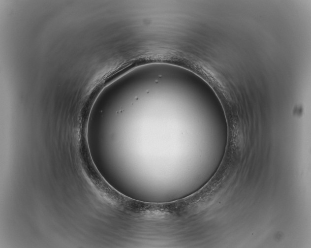 X0000091060586200708131132