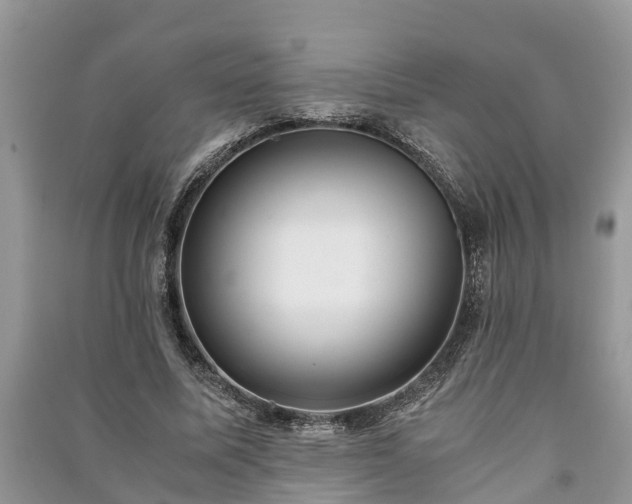 X0000091060587200708131132