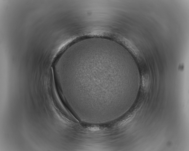 X0000091060588200708131132