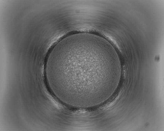 X0000091060589200708131132