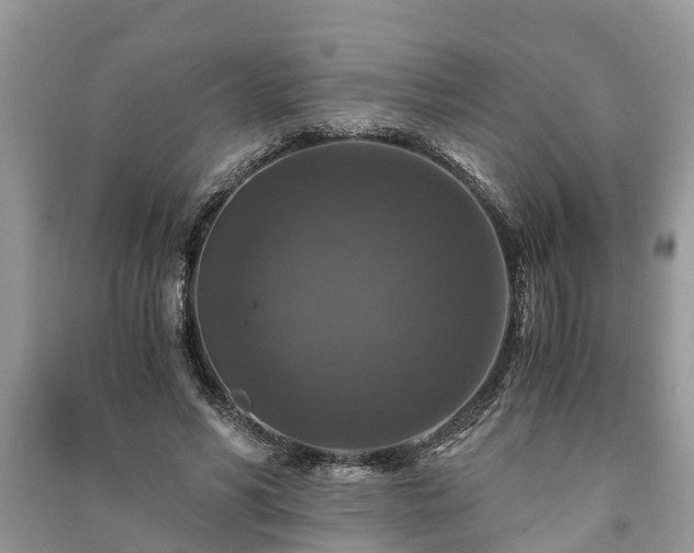 X0000091060590200708131132