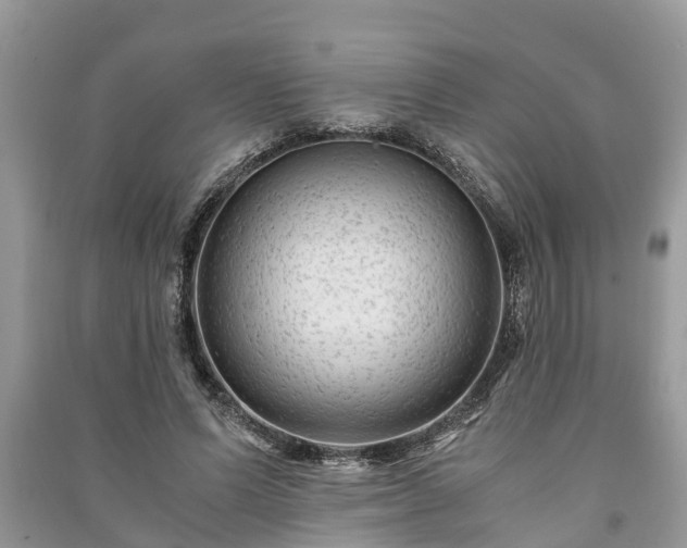 X0000091060591200708131132