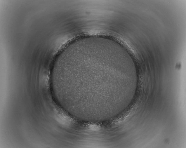 X0000091060592200708131132