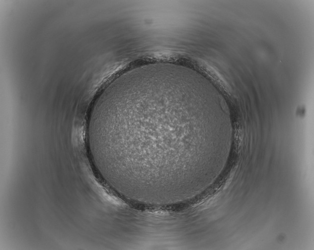 X0000091060593200708131132