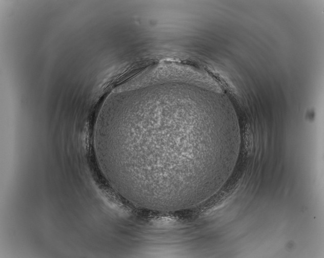 X0000091060594200708131132