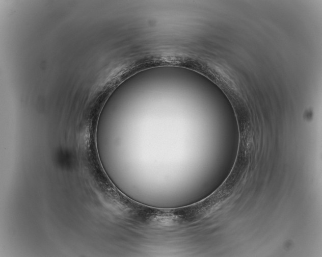X0000091060595200708131132
