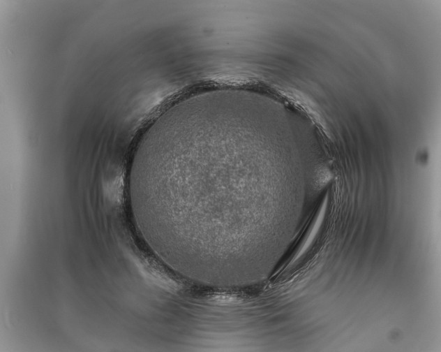 X0000091060596200708131132