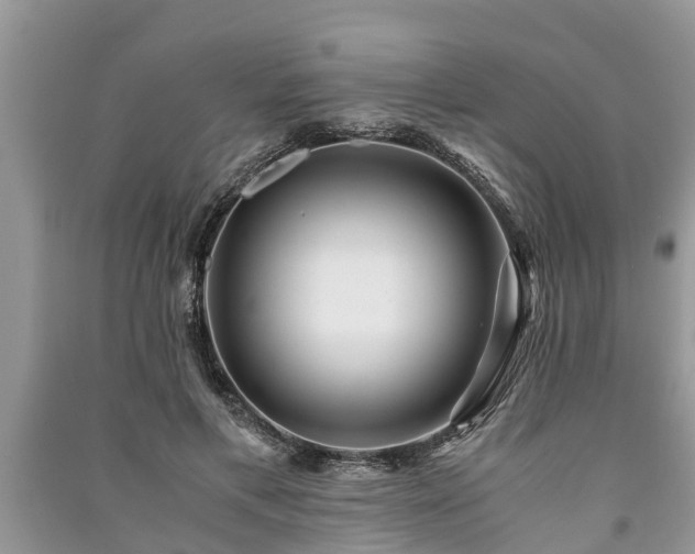 X0000091060597200708131132
