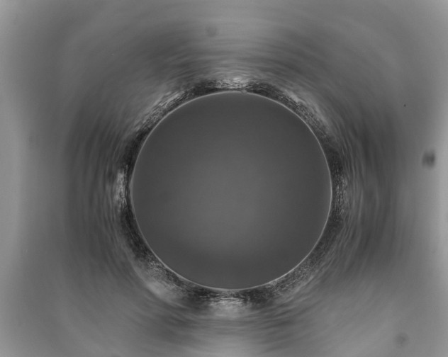 X0000091060598200708131132