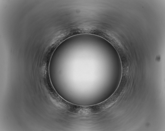 X0000091060599200708131132