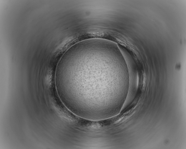 X0000091060600200708131132
