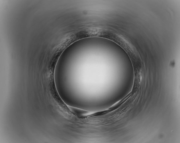X0000091060601200708131132