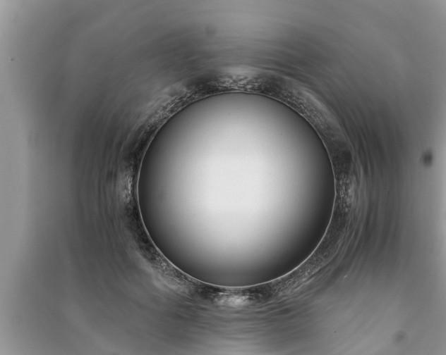 X0000091060602200708131132