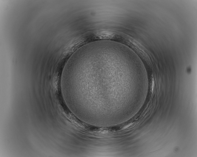 X0000091060604200708131132