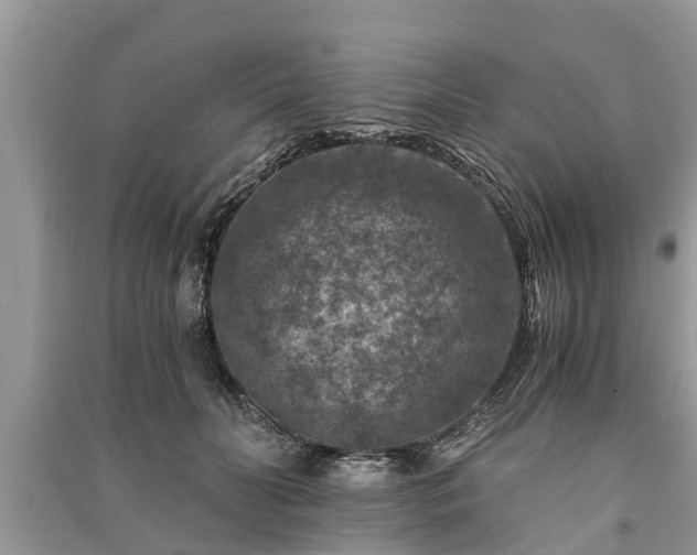 X0000091060606200708131131