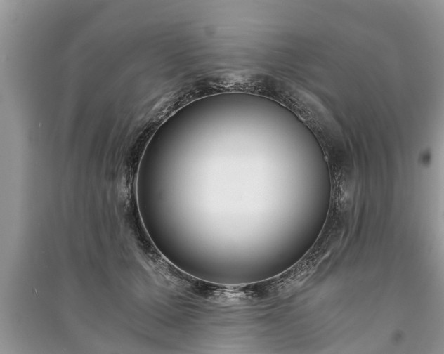 X0000091060607200708131131