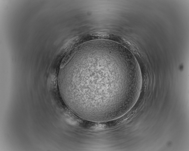 X0000091060609200708131131