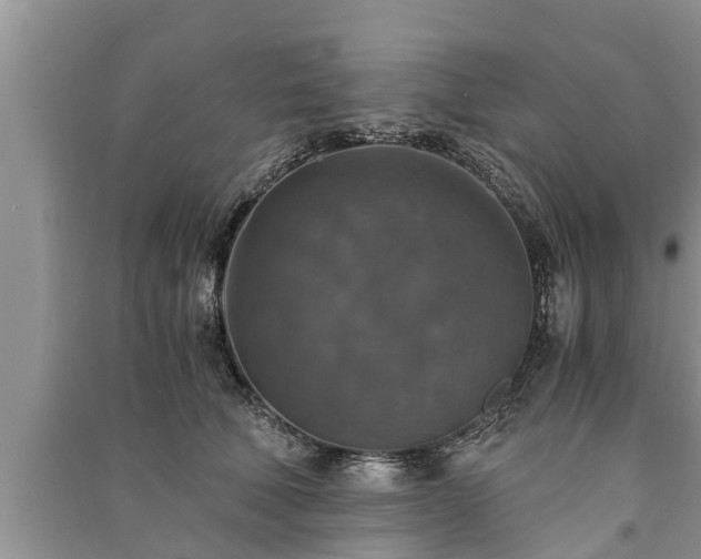 X0000091060610200708131131