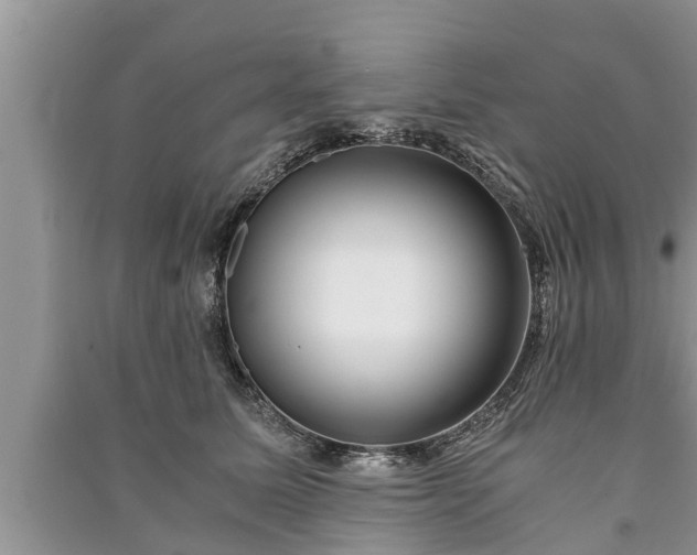 X0000091060611200708131131