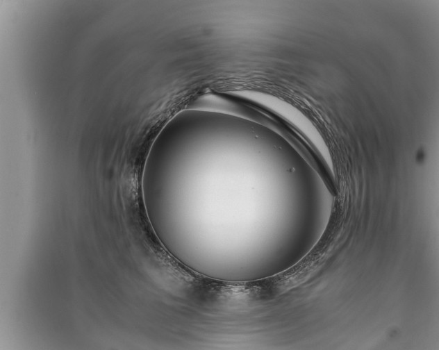 X0000091060613200708131131