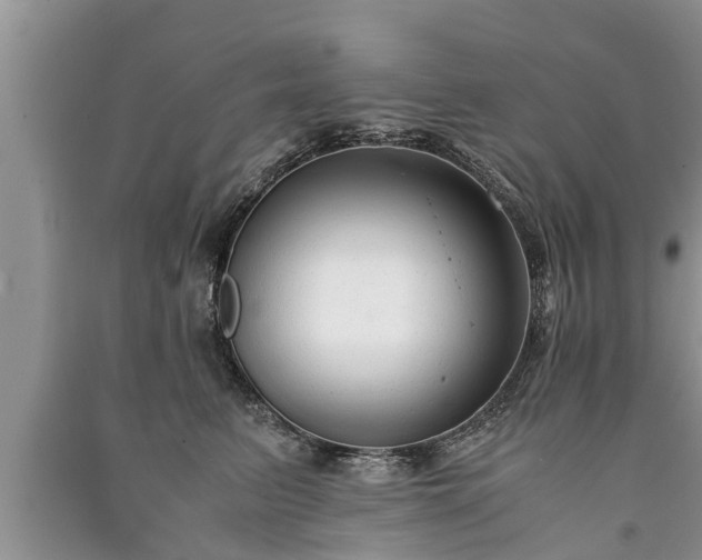 X0000091060615200708131131