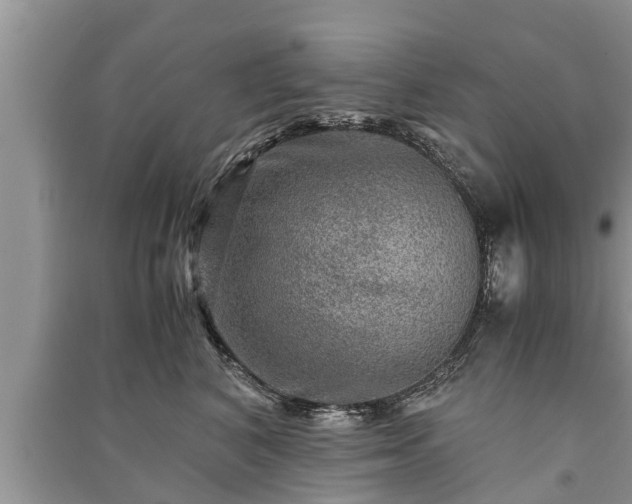 X0000091060616200708131131