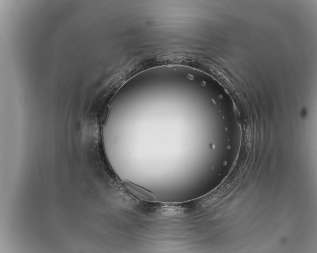 X0000091060617200708131131