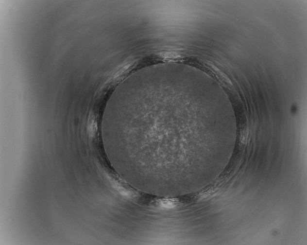 X0000091060618200708131131