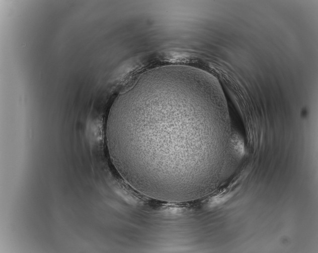 X0000091060620200708131131