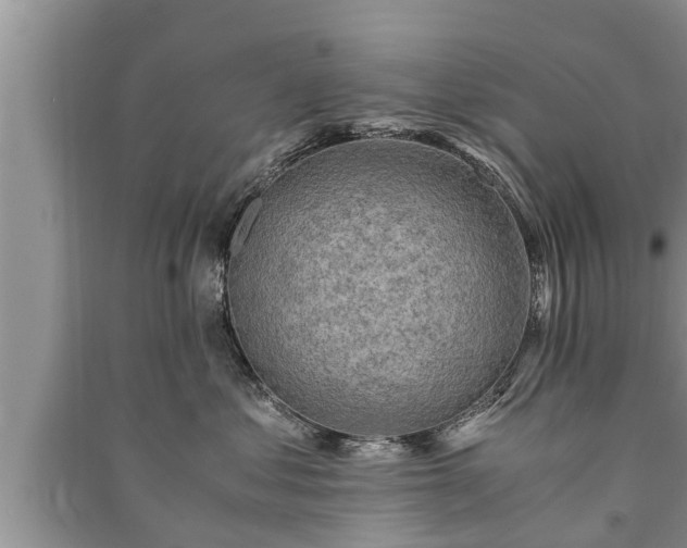 X0000091060621200708131131