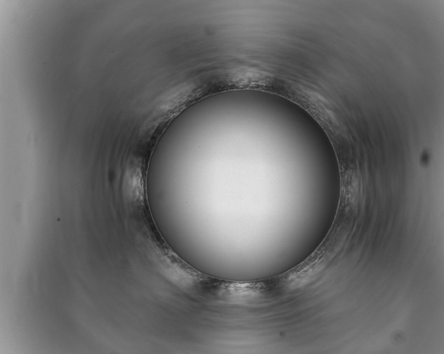 X0000091060622200708131131
