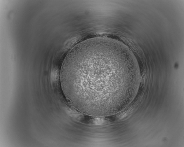 X0000091060623200708131131