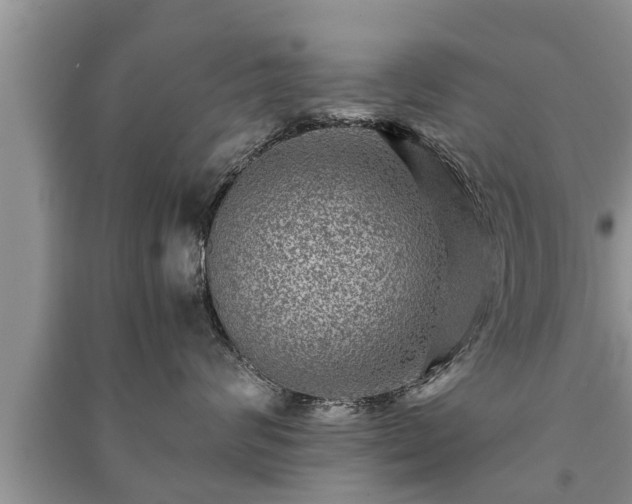 X0000091060624200708131131