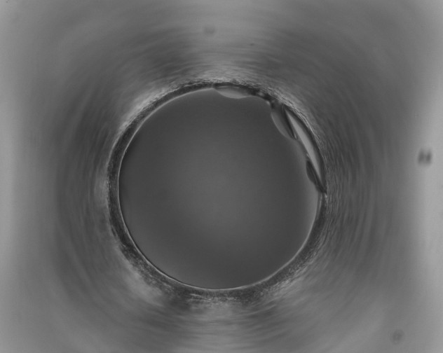 X0000091060626200708131131