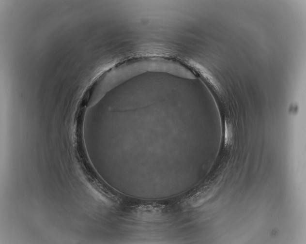 X0000091060627200708131131