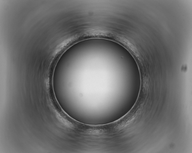 X0000091060629200708131131