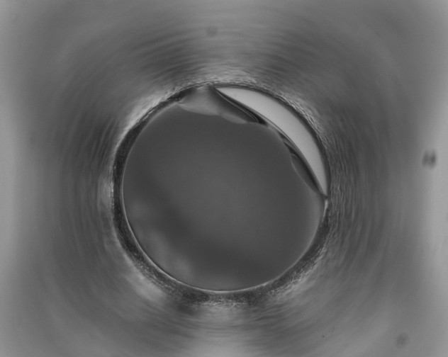 X0000091060630200708131131