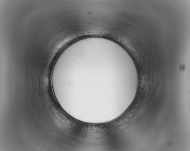 X0000091060632200708131131