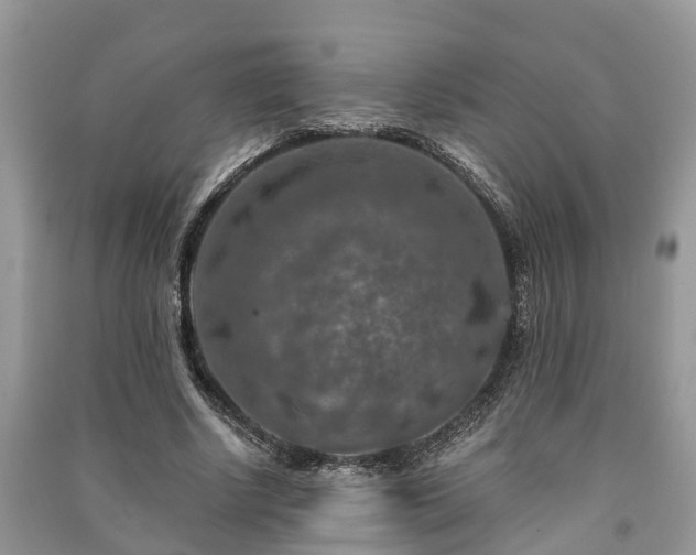 X0000091060634200708131131
