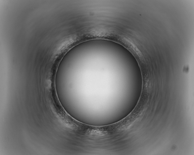 X0000091060635200708131131