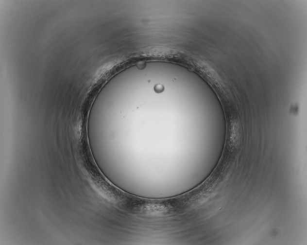 X0000091060636200708131131