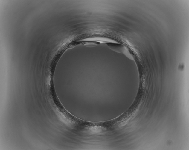 X0000091060637200708131131