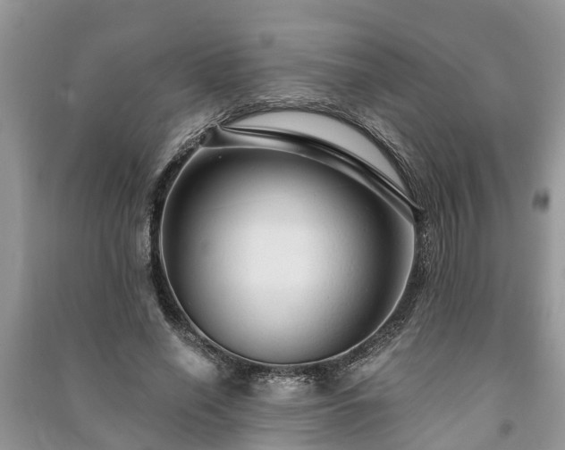 X0000091060638200708131131