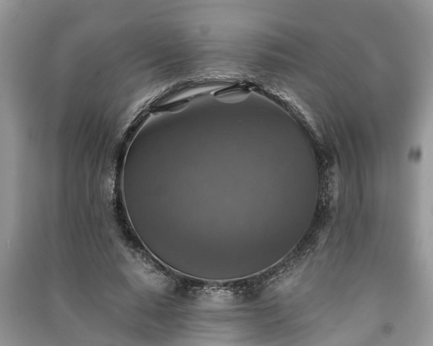 X0000091060640200708131131