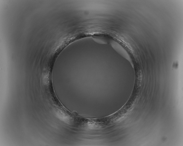 X0000091060641200708131131
