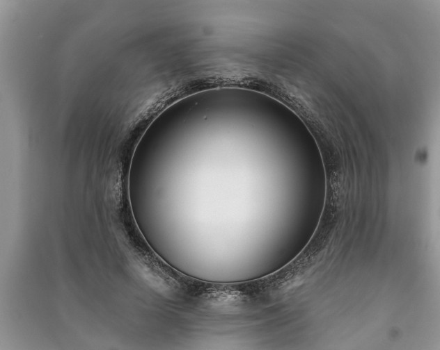 X0000091060642200708131131