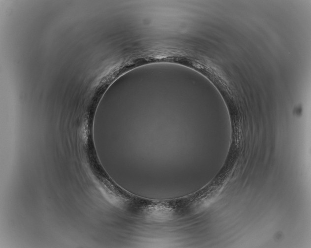 X0000091060644200708131131