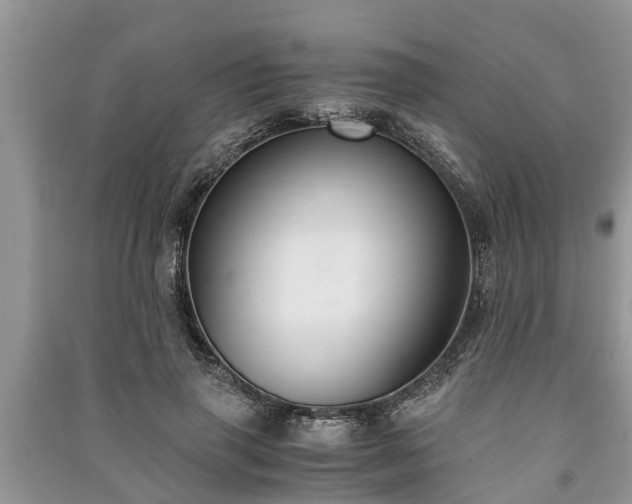 X0000091060645200708131131