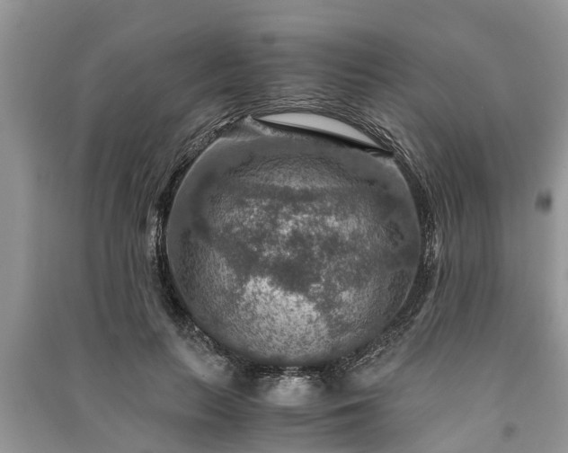 X0000091060647200708131131