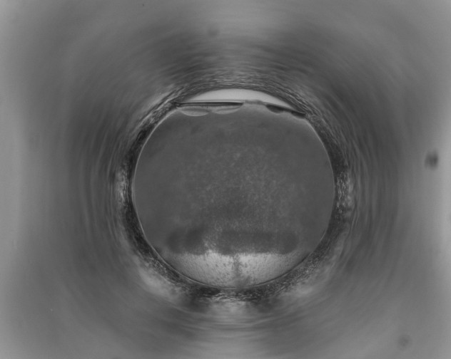 X0000091060648200708131131